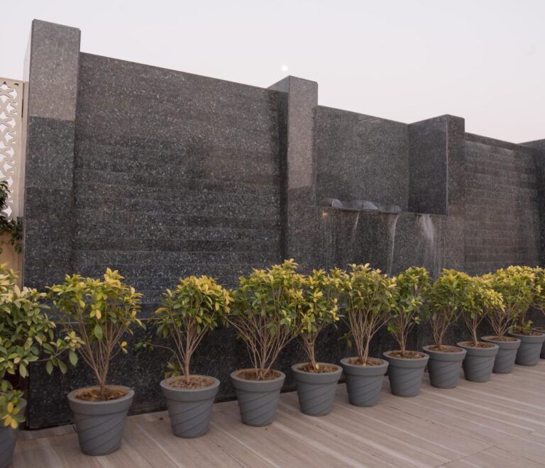 WhatsApp Image 2025-11-13 at 2.44.34 PM